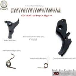XDM Drop in Trigger Kit